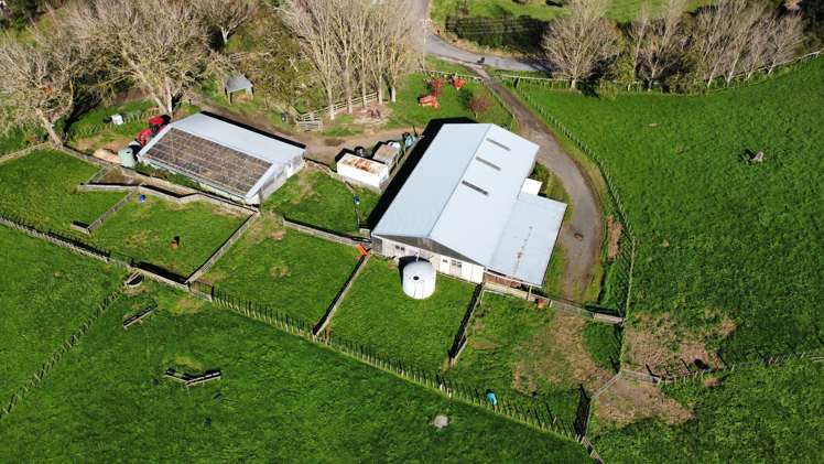 336 Dominion Road Tuakau_12