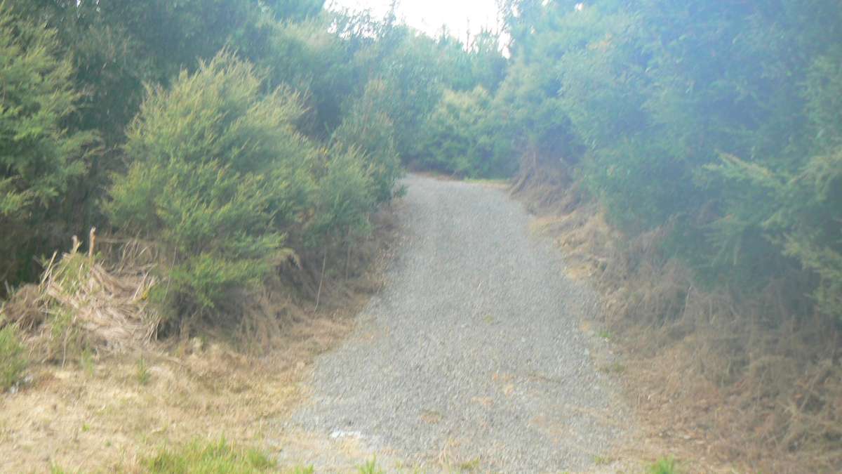 340 Duddy Road_5