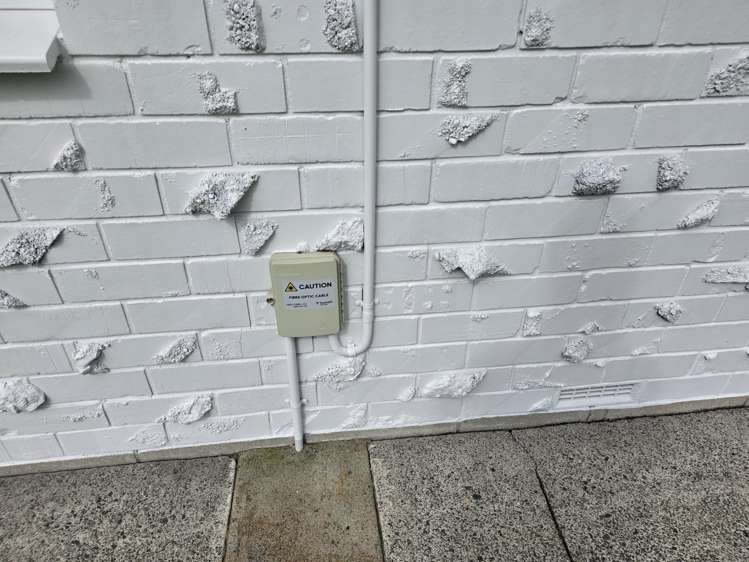 244 Beach Road Katikati_35