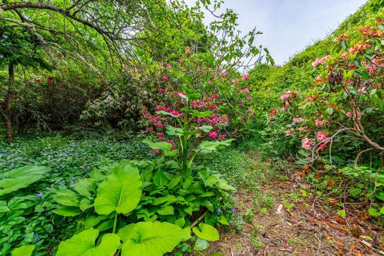 166 Breakneck Road Herbert_11