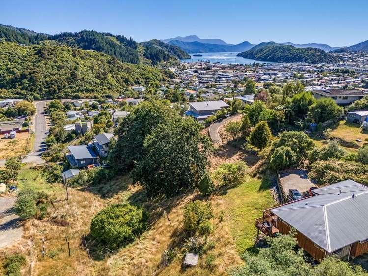 19b Dorset Street Picton_17