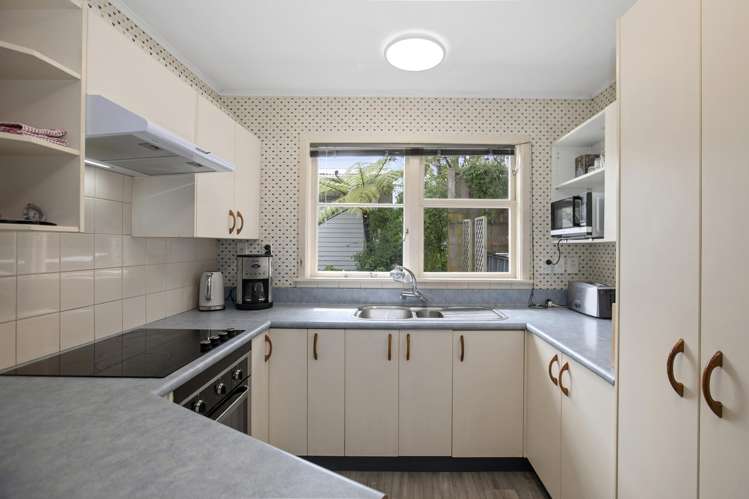 7 Winchester Avenue Pinehaven_5