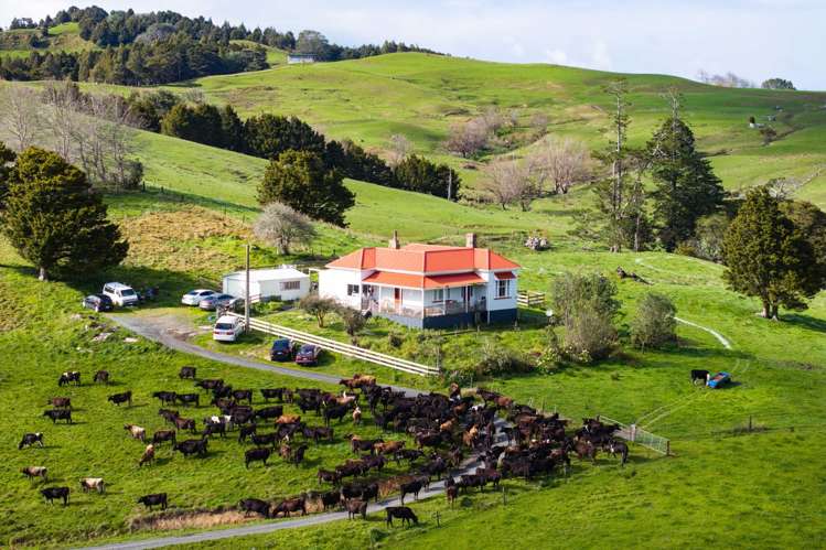 248 Ormandy Road Maungakaramea_22