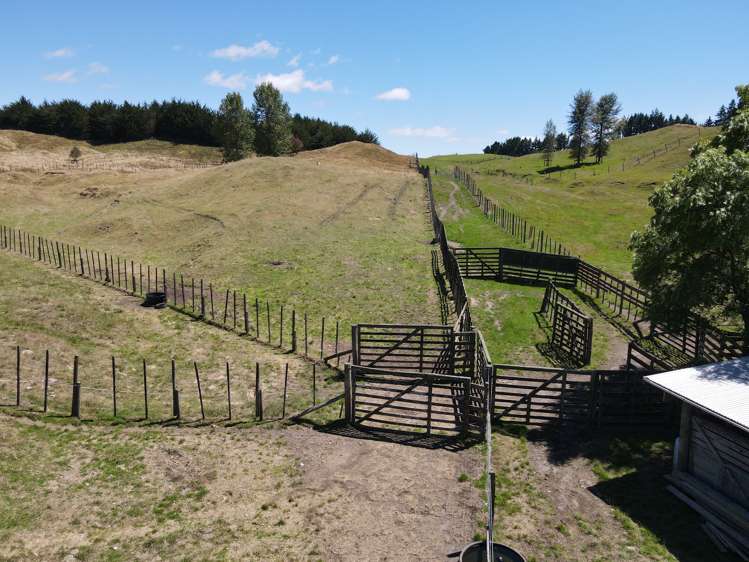 897 State Highway 1 Oruanui_18