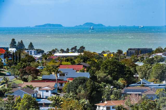 Affordable, Sea Views, Rangi Zone!