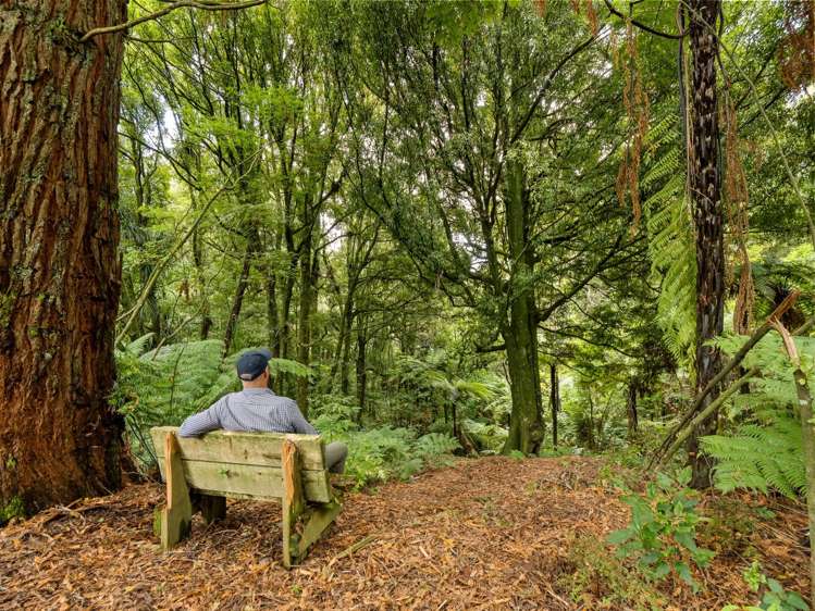 217 Soldiers Road Lower Kaimai_8