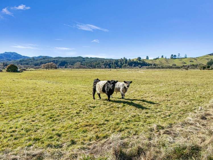 3577 Motueka Valley Highway Stanley Brook_23
