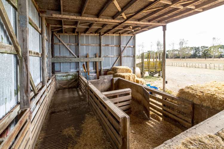 85 Budd Road Upper Plain_16