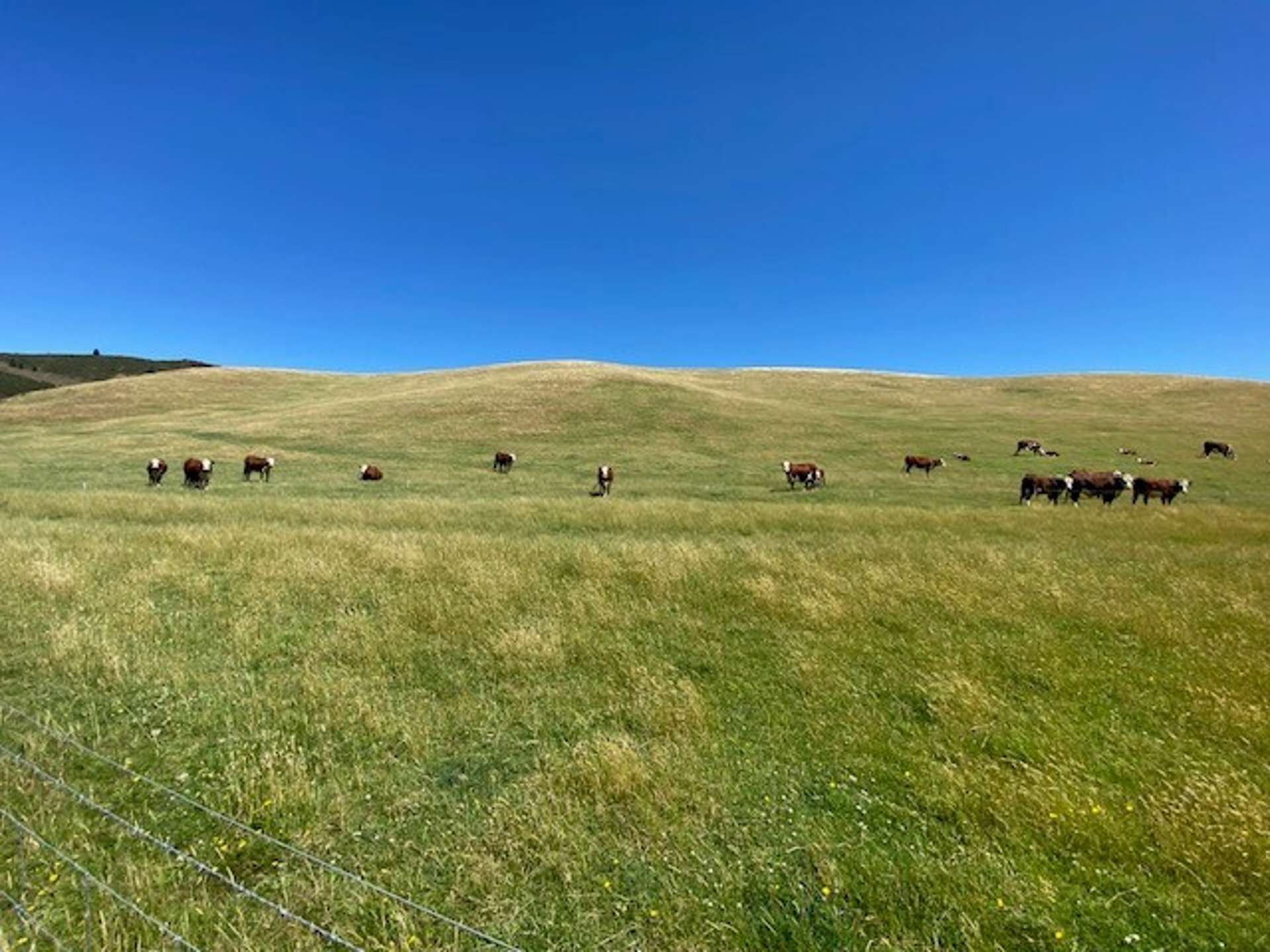 10 Riversleigh Road Glentunnel Selwyn Rural Property For Sale