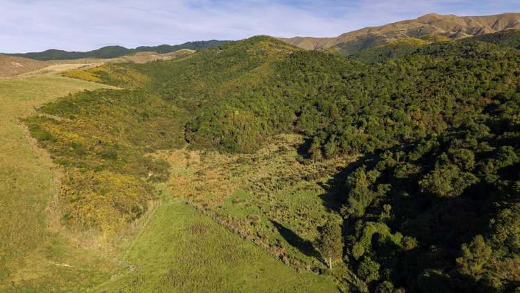 501 Upper Hook Road Hunter_33