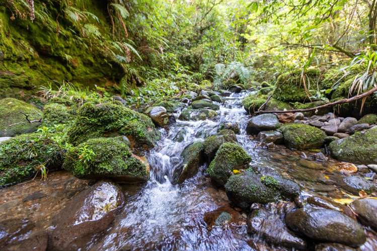 1581 Carrington Road Hurworth_16