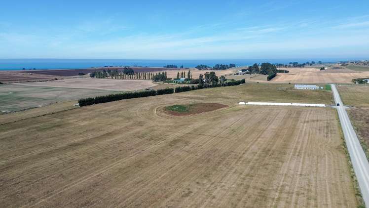 62D Springfield Road Totara_5