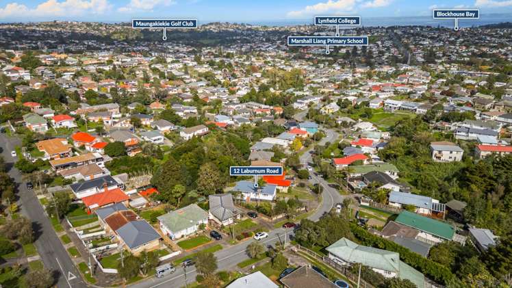 12 Laburnum Road New Windsor_18