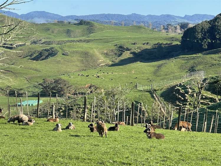 80a Mangaotaki Road Piopio_0