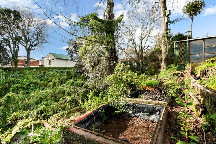 57 Meadowbank Road Meadowbank_17