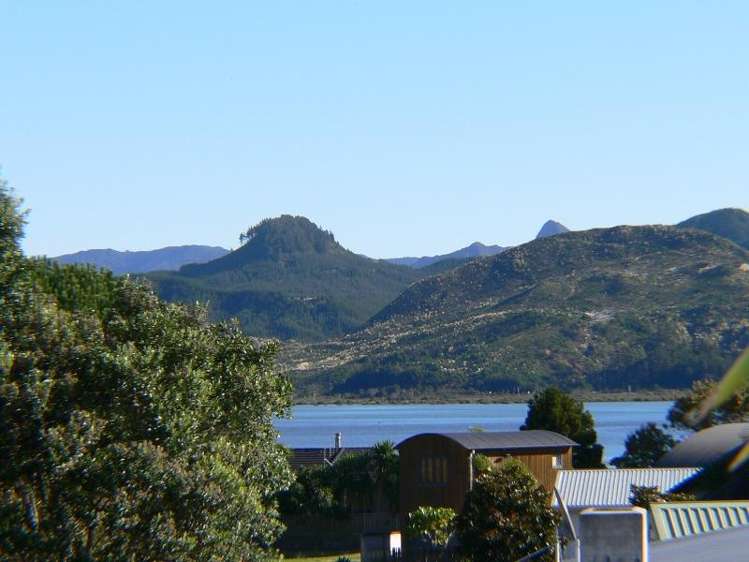 2 Ajax Head Pauanui_7