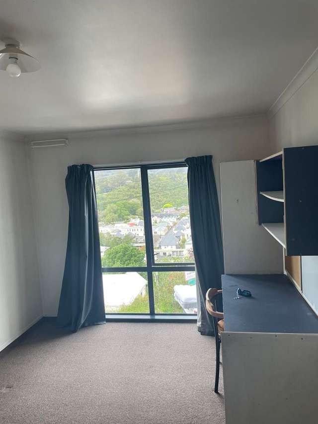 148 Queen Street North Dunedin_3