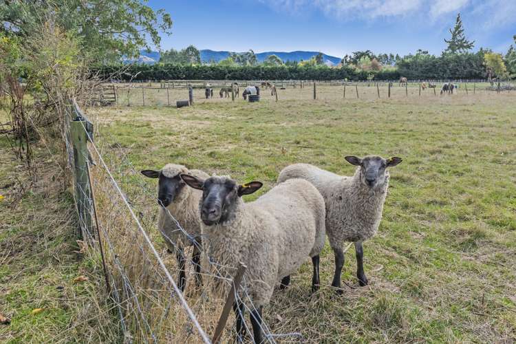 67 Weld Street Oxford_32