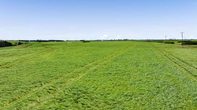 53 Lander Road Ohangai_11