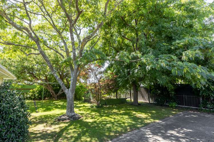 17 Avenue Road Greenmeadows_16