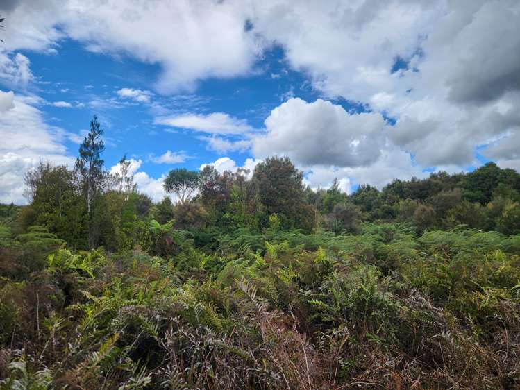 240 Maori Creek Road Marsden_12