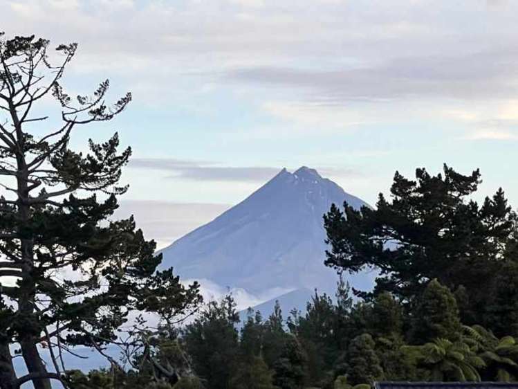 23 Atutahi Street Hurdon_20