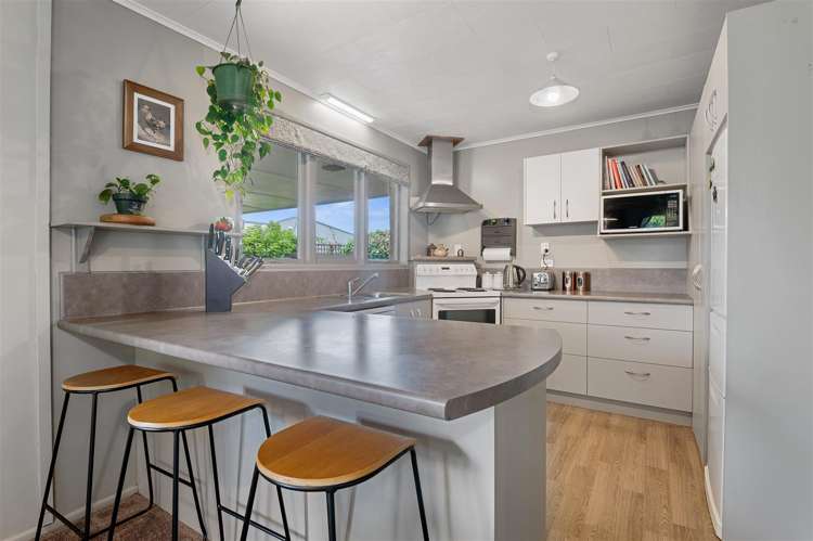 1 Kiwi Street Springfield_5