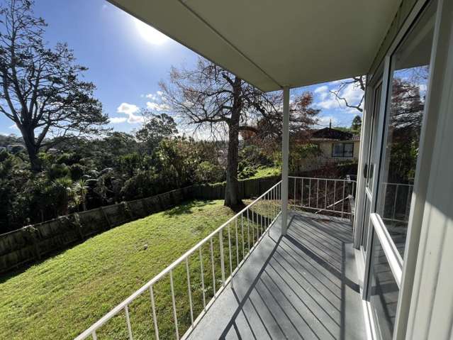 13 Adam Sunde Place Glen Eden_3