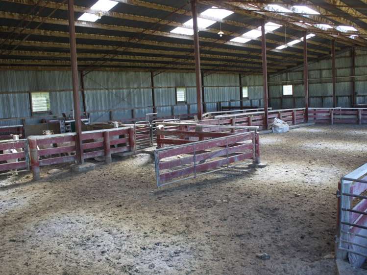 301 Moneymore Road Milton_14