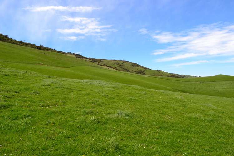 771 Hunt Road Catlins Surrounds_6