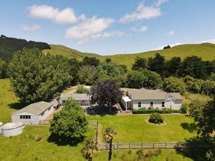 157 Waihi Valley Road Waione_19