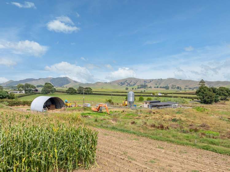 1179 Tahuna Road Ohinewai_12