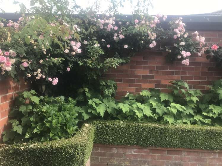 43c Mckenzie Street Geraldine_9