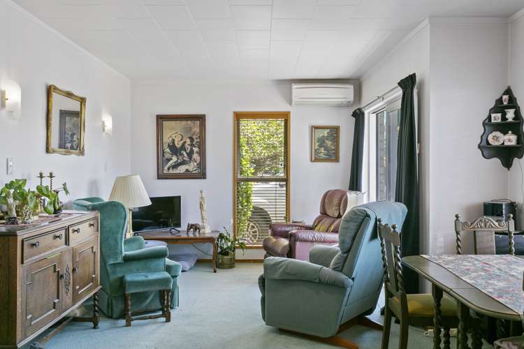 1/88 Hinemoa Avenue Taupo_6