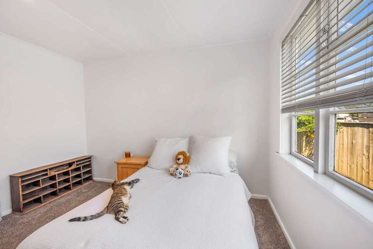 112 Geddis Avenue Maraenui_21