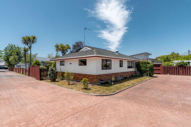 50d Mcmaster Street Greytown_14