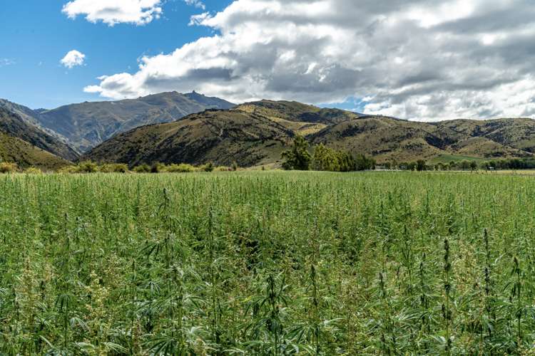 Waikerikeri Valley Road Alexandra_11