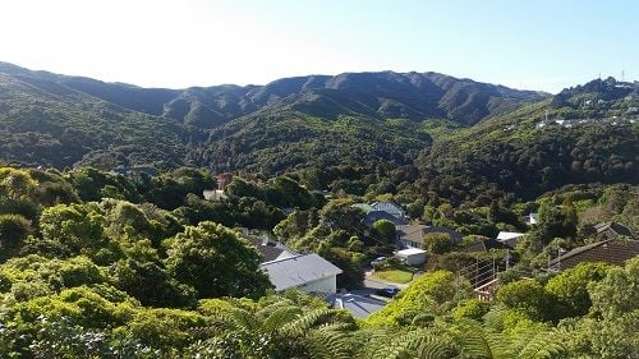 19 Rochester Street Wilton_2