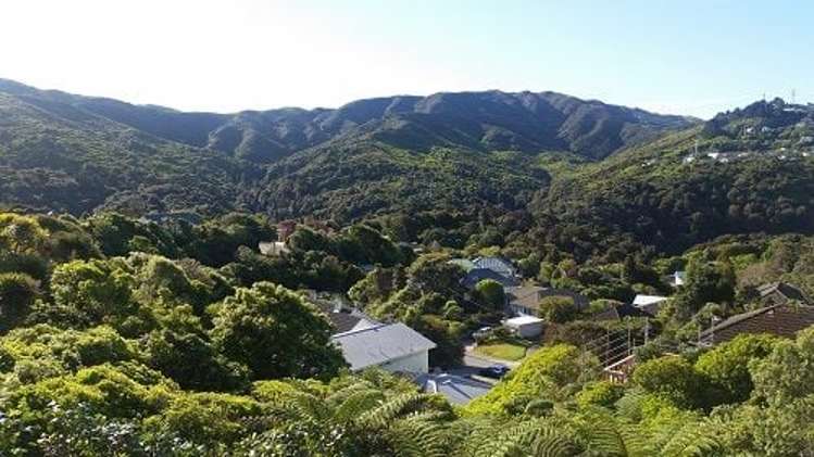 19 Rochester Street Wilton_2