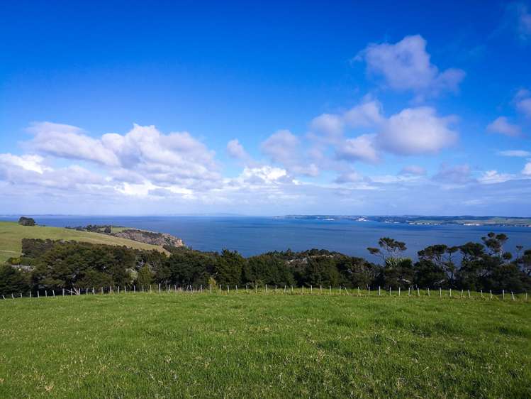 1188e Tinopai Road Tinopai_11