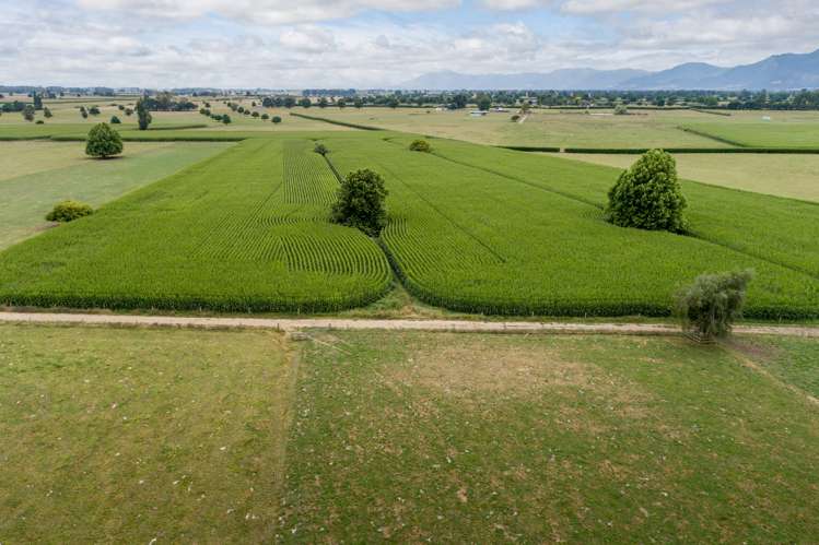 148 Troughton Road Matamata_15