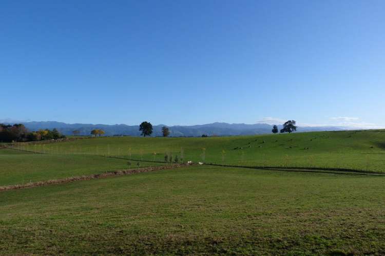 8 Maple Lane Carterton_2