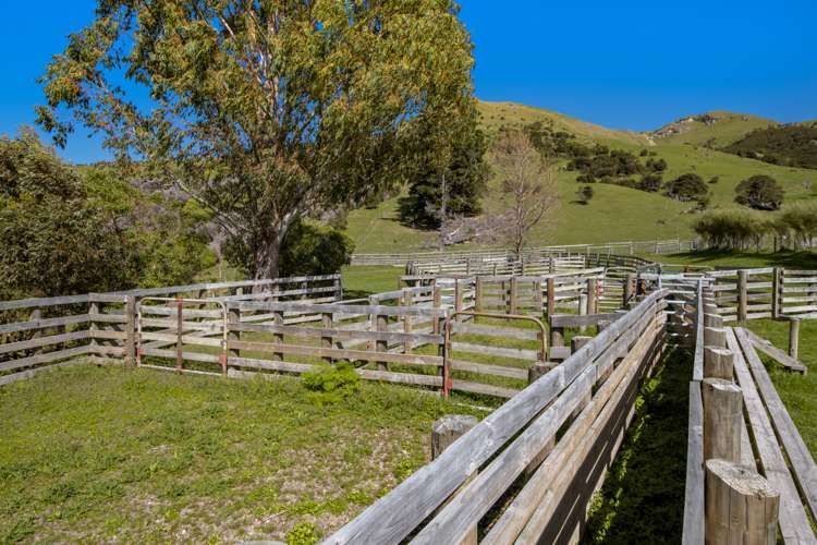 1505 Peggioh Road Ward_17