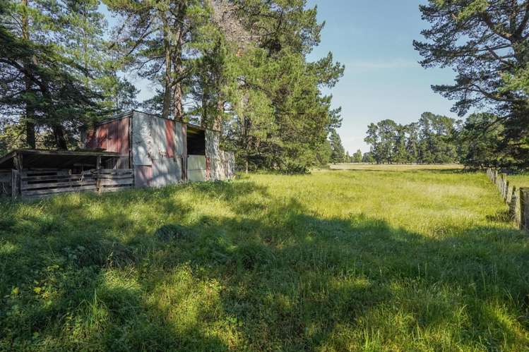 373 Lehmans Road Fernside_26