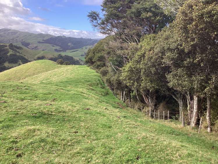 Lot 2, 607 Mangawara Road Morrinsville_6