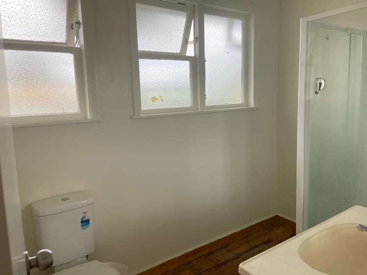 76 Freeland Avenue Mount Roskill_11