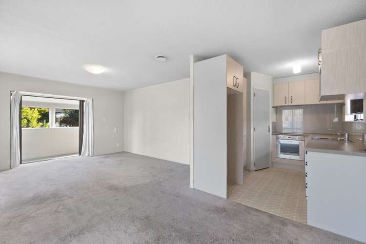 6 Kingfisher Way Te Kowhai_6