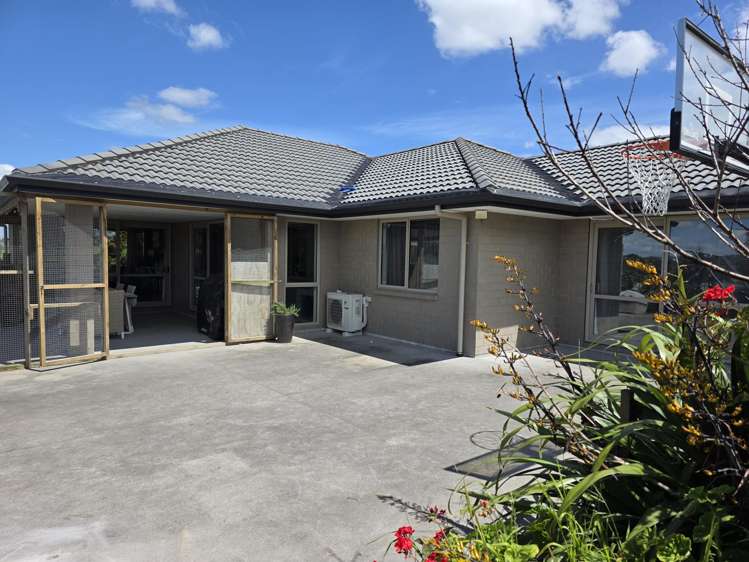 148 Malone Road Kokopu_10