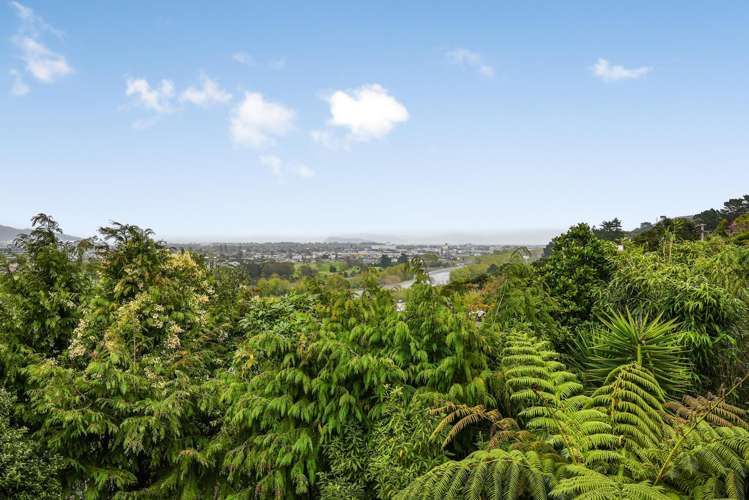 17 Hill Road Belmont_28