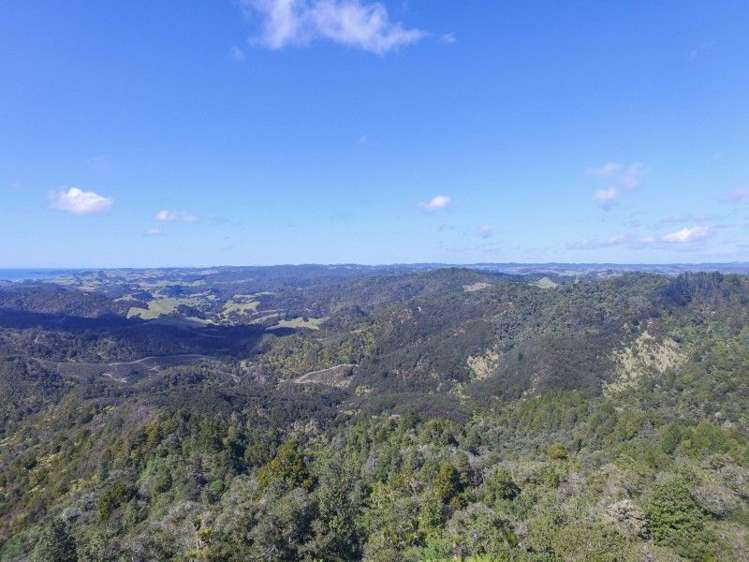 884 Kaiikanui Road Hukerenui and Surrounds_21